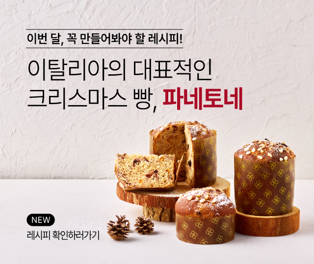 11월 레시피 파네토네